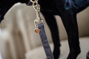 Smycz dla psa Kentucky Dogwear Wool - 120 cm