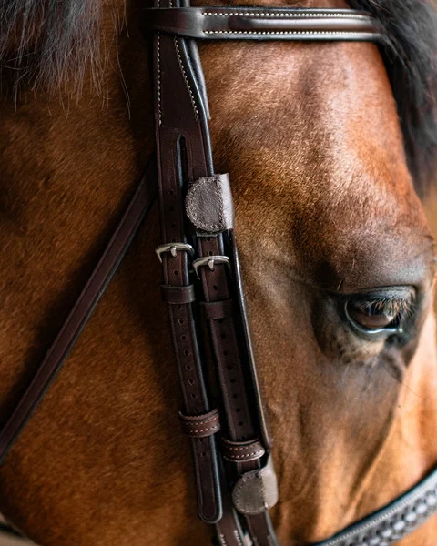Zaślepki ograniczające pole widzenia Fager Focus Blinkers