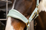 Kantar dla konia Kentucky Horsewear Velvet