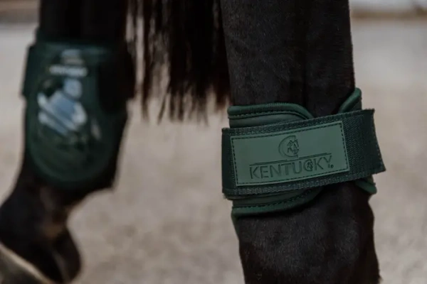 Ochraniacze tylne Kentucky Horsewear Young Horse TPU