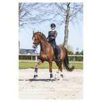 Ochraniacze ujeżdżeniowe ANKY® Active Gel Impact