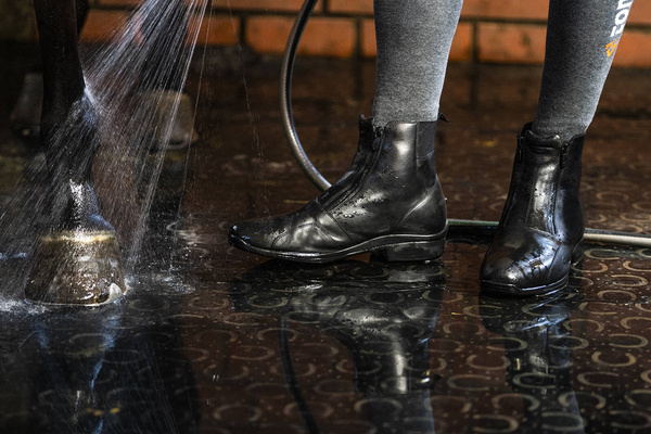 Sztyblety skórzane Tonics X-Ray