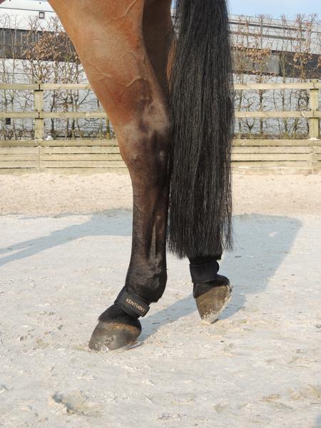 Opaski na pęciny Kentucky Horsewear Pastern Wraps