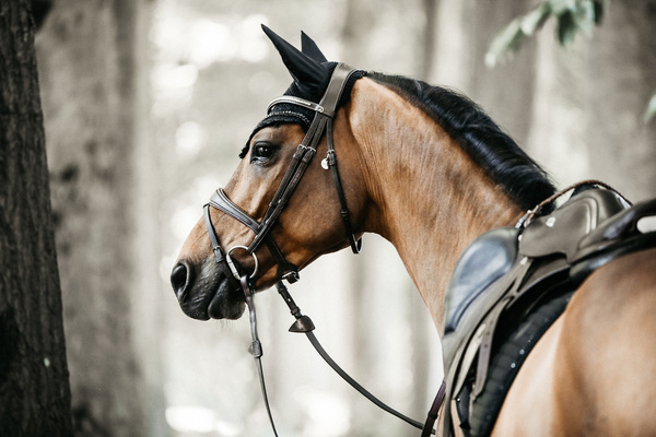 Nauszniki klasyczne Kentucky Horsewear Wellington Stone & Pearl