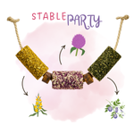 Gryzak dla koni Candy Horse – Stable Party