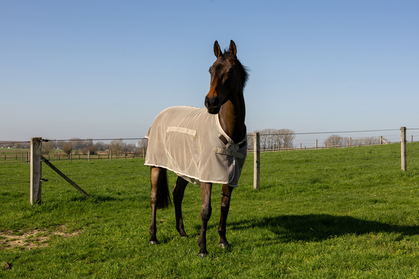 Derka siatkowa przeciw owadom z klapą na brzuch Kentucky Horsewear Fly Rug with Belly Cover Comfort