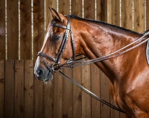 Czarna wodza skórzano-gumowa Dy'on Working Collection WO08C