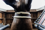 Popręg z futrem syntetycznym Kentucky Horsewear Sheepskin Girth