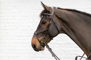 Ogłowie z nachrapnikiem przelotowym Dy'on D Collection  DYABA6