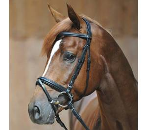 Ogłowie z nachrapnikiem szwedzkim Kavalkade Ravenna