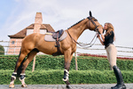 Ochraniacze tylne z futrem Kentucky Horsewear Young Horse TPU