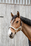Kantar anatomiczny Kentucky Horsewear Anatomic Nylon