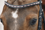 Naczółek opadający Schockemöhle Sports Diamond