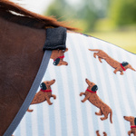 Derka polarowa QHP Stable buddy