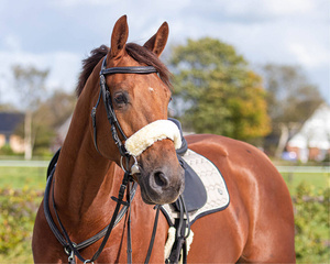 Futerko na nachrapnik QHP