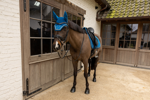 Nauszniki klasyczne Kentucky Horsewear Velvet Horse Printing