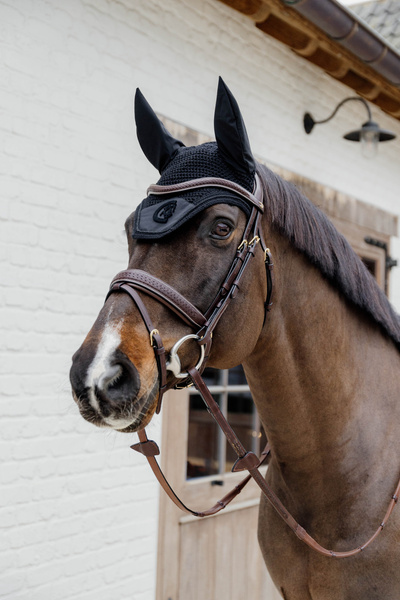 Ogłowie z nachrapnikiem szwedzkim kombinowanym z paskiem krzyżowym Dy'on D Collection Plaited DYAJAZ