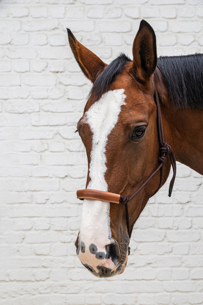 Kantar sznurkowy Grooming Deluxe