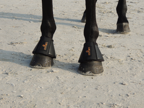 Kaloszki ze sztucznej skóry PVC Kentucky Horsewear