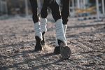 Ochraniacze treningowe Veredus TRB Save The Sheep - komplet