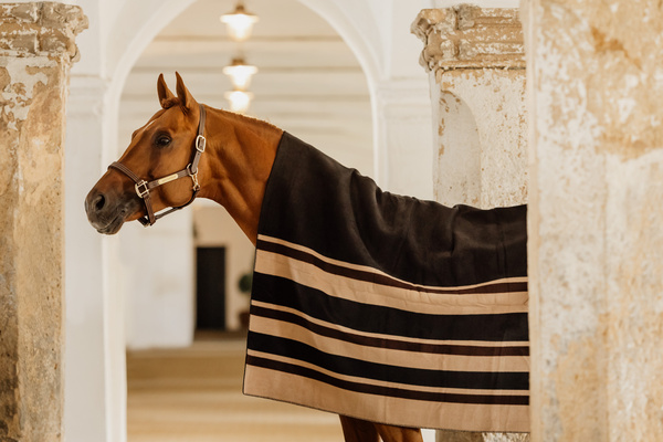 Derka polarowa Kentucky Horsewear Heavy Fleece Rug Square Stripes