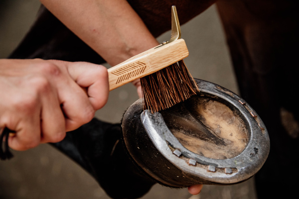 Kopystka ze szczotką Kentucky Horsewear Grooming Deluxe