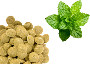 Smakołyki dla koni Equiherbs - Mięta