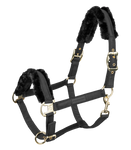 Kantar Waldhausen Exclusive 