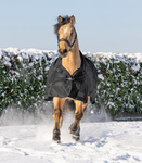 Derka padokowa z przedłużoną szyją Waldhausen SCANDIC 200g