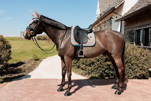 Czaprak ujeżdżeniowy Kentucky Horsewear Pied-de-Poule