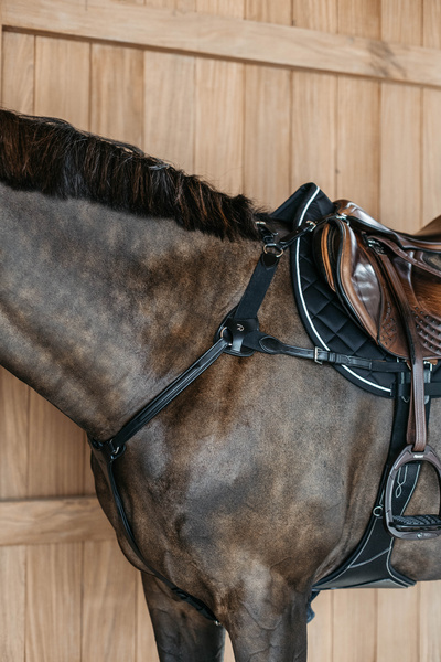 Napierśnik pięciopunktowy Dy'on New English Collection NE06F