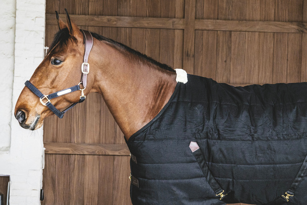 Derka stajenna Kentucky Horsewear Classic 300g