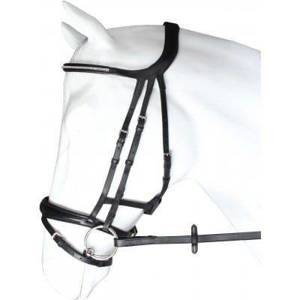 Ogłowie z cofnięta potylicą Horka