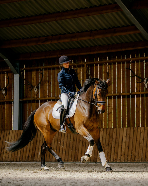 Ogłowie z nachrapnikiem szwedzkim Dy'on New English Collection NEDCAO