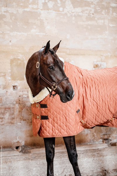 Kantar anatomiczny Kentucky Horsewear Anatomic Leather Halter