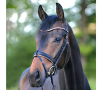 Ogłowie z nachrapnikiem szwedzkim Kavalkade Rose