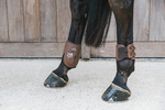 Ochraniacze tylne Kentucky Horsewear Elastic