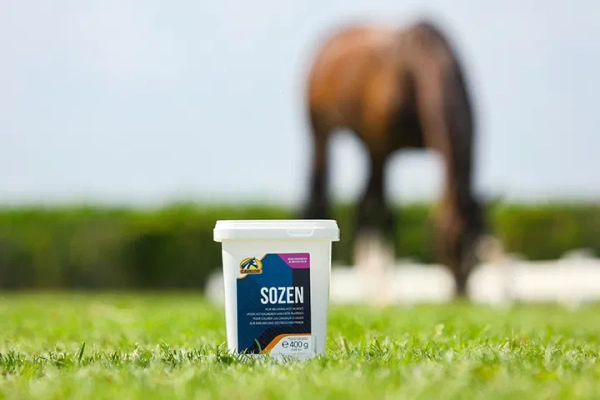 Suplement uspokajający Cavalor SoZen