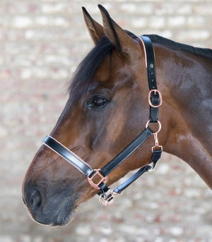 Kantar skórzany Waldhausen Rose