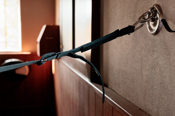 Uwiąz stajenny Kentucky Horsewear Box Lead & Cross Ties Safety