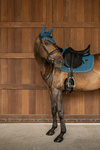 Nauszniki klasyczne Kentucky Horsewear Wellington Full Sparkling