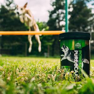 Naturalny suplement dla psów sportowych Pokusa Power Dog BCAA Pure