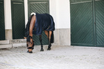 Derka osuszająca Kentucky Horsewear 3D Spacer Cooler Sheet