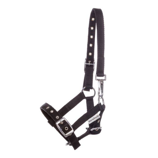 Kantar dla źrebaka Kavalkade