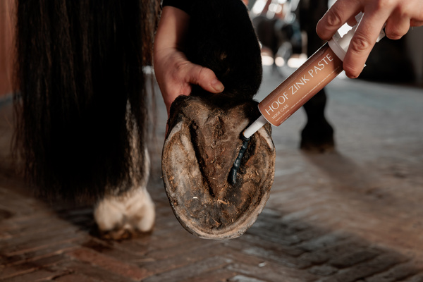 Pasta cynkowa do pielęgnacji strzałki Grooming Deluxe