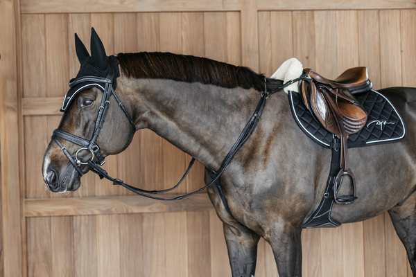 Nauszniki wyciszające Dy'on Diamond HO24J