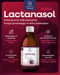 Syrop dla koni sportowych wspierający mięśnie i odkwaszanie organizmu Hippovet Pharmacy Lactanasol