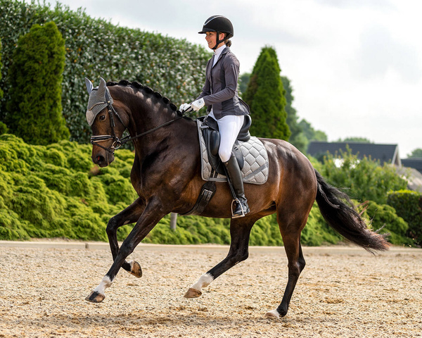 Frak damski QHP Novèn