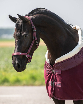Kantar z uwiązem QHP Lily