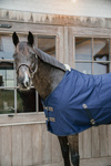 Derka bawełniana Kentucky Horsewear Cotton Sheet